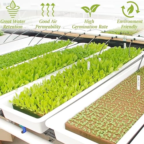 Miniatura 4 de Halatool Cubos de lana de roca de 1 pulgada para jardín de lana de roca, cubos de cultivo hidropónico, sin suelo, plantas clon inicio de germinación