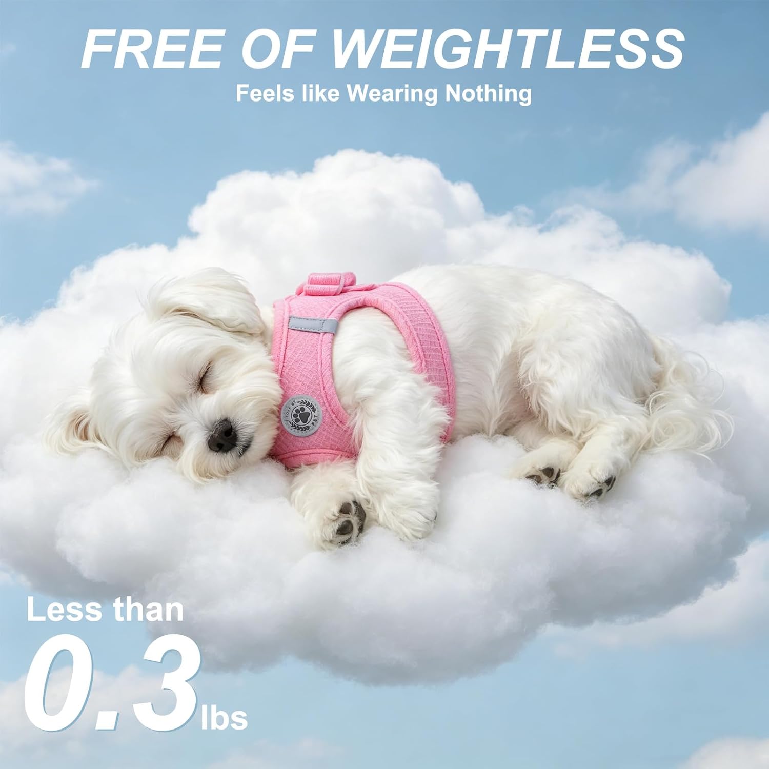 BEAUTYZOO Waffle Dog Harness Small Sized, No Pull Small Dog Harness and Leash Set, All Weather Soft Mesh Light Harness for Dogs Cats, Step-in Puppy Vest, Reflective for Safe Easy Walking, Pink M