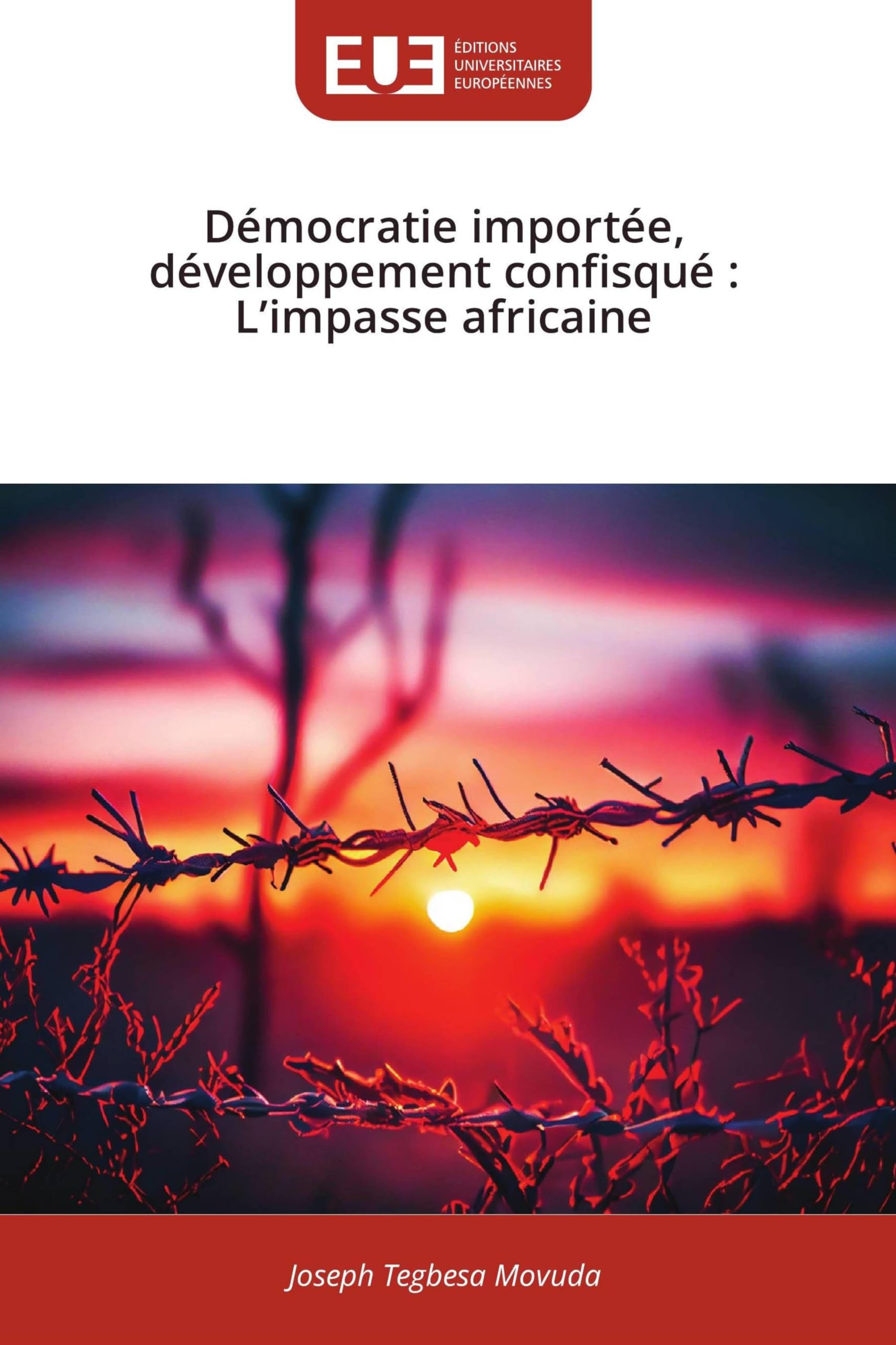 Démocratie importée, développement confisqué: L'impasse africaine