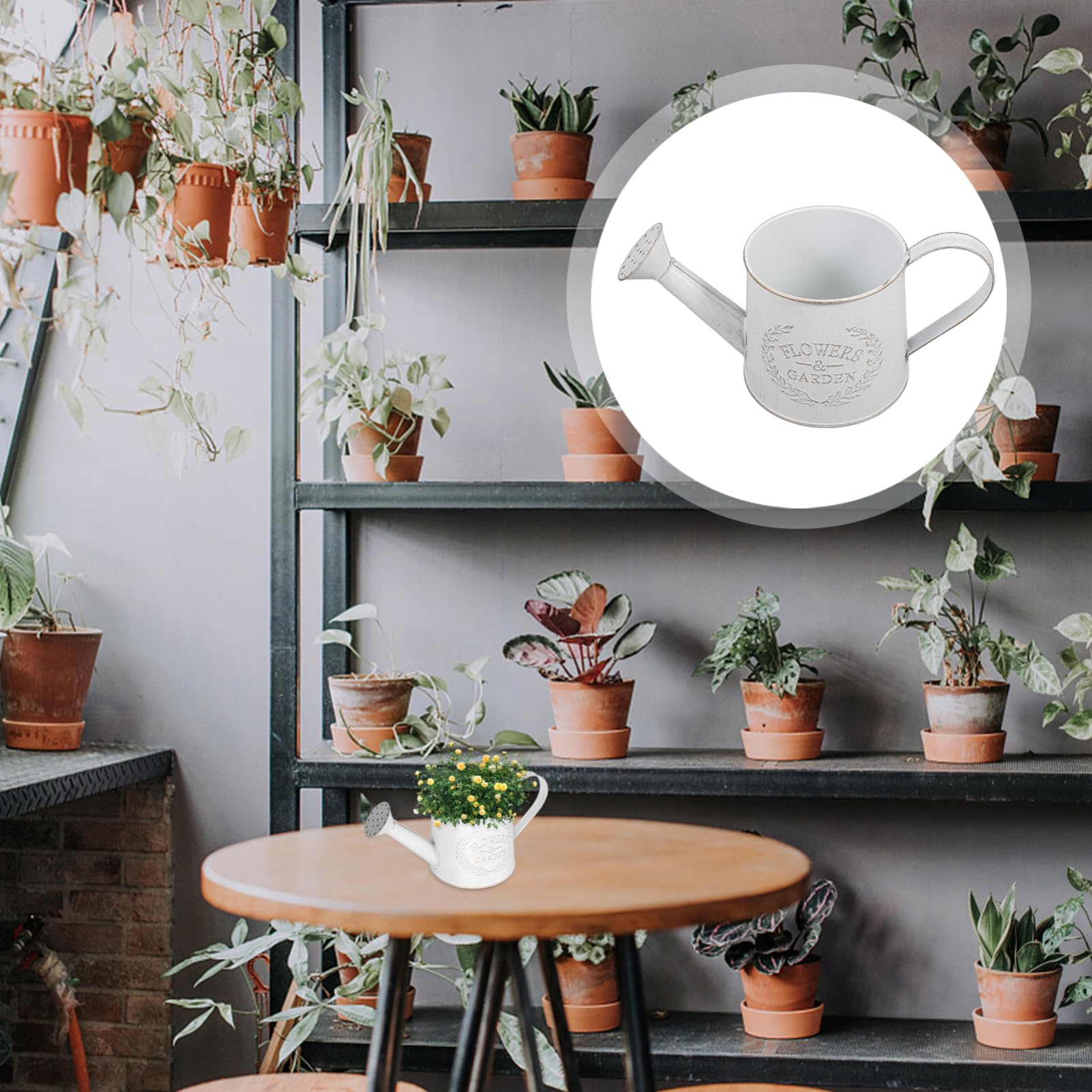 Milisten Arrosoir en métal avec bec verseur - Petit arrosoir galvanisé rustique avec poignée pour plantes d'intérieur ou d'extérieur - Blanc
