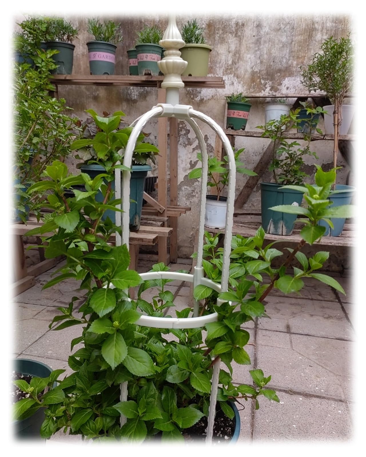 Rustic Patio Arch Garden Trellis Metal Obelisk For Supporting Climbing Plants Outdoor, Roses, Vines, Flowers, And Vegetables Tall Tower 90cm/120cm/150cm/180cm High Weather Resistant ( Color : Cream ,