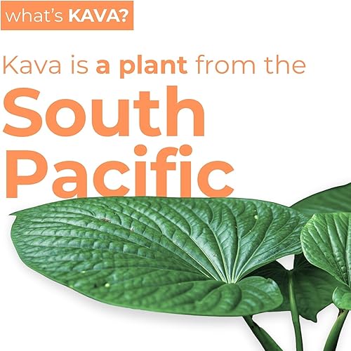 Miniatura 3 de Leilo Calm in a Can Bebida espumosa de relajación con kava, completamente natural y sin gluten, sabor Tango Berry, 12onzas, paquete de 12 unidades