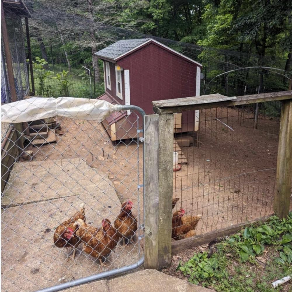 Bird Netting for Chicken Coop,25x100 FT Heavy Duty Poultry Netting for Chicken Run,Pen and Garden,Prevent Birds,Deer,Squirrels,Ideal for Fruit Trees,Blueberry Bushes,Vegetables