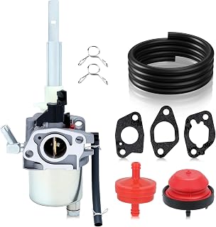 Hipa 20001368 Carburetor Kit for Arien 20001027 920025 920021 Snow Blower