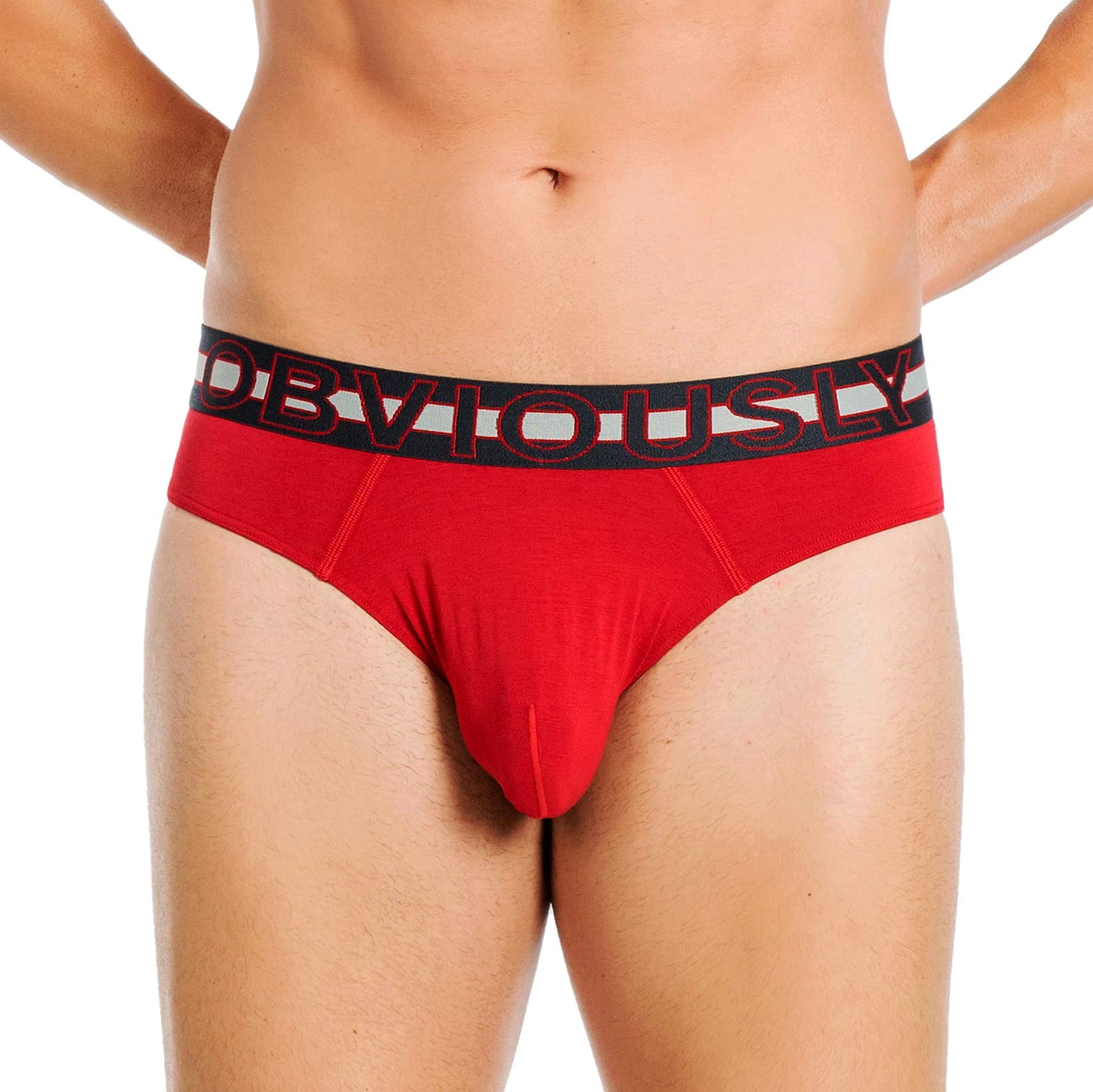 Obviously Men's Chilli Everyman Anatomax Brief Underwear (M/34-36)