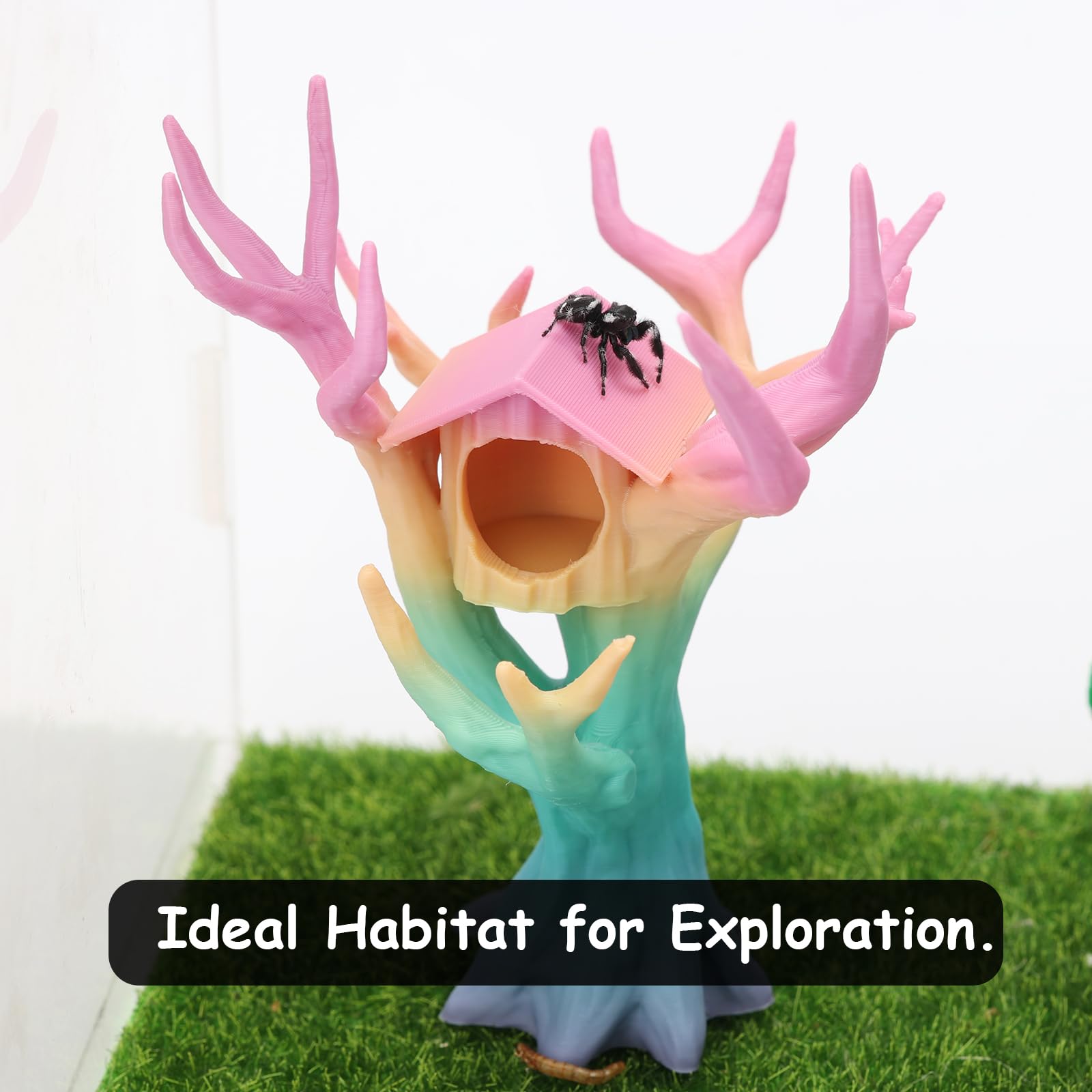 Daerky 3D Printed Tree-Shaped Climbing Toy & Cave, Spider Habitat