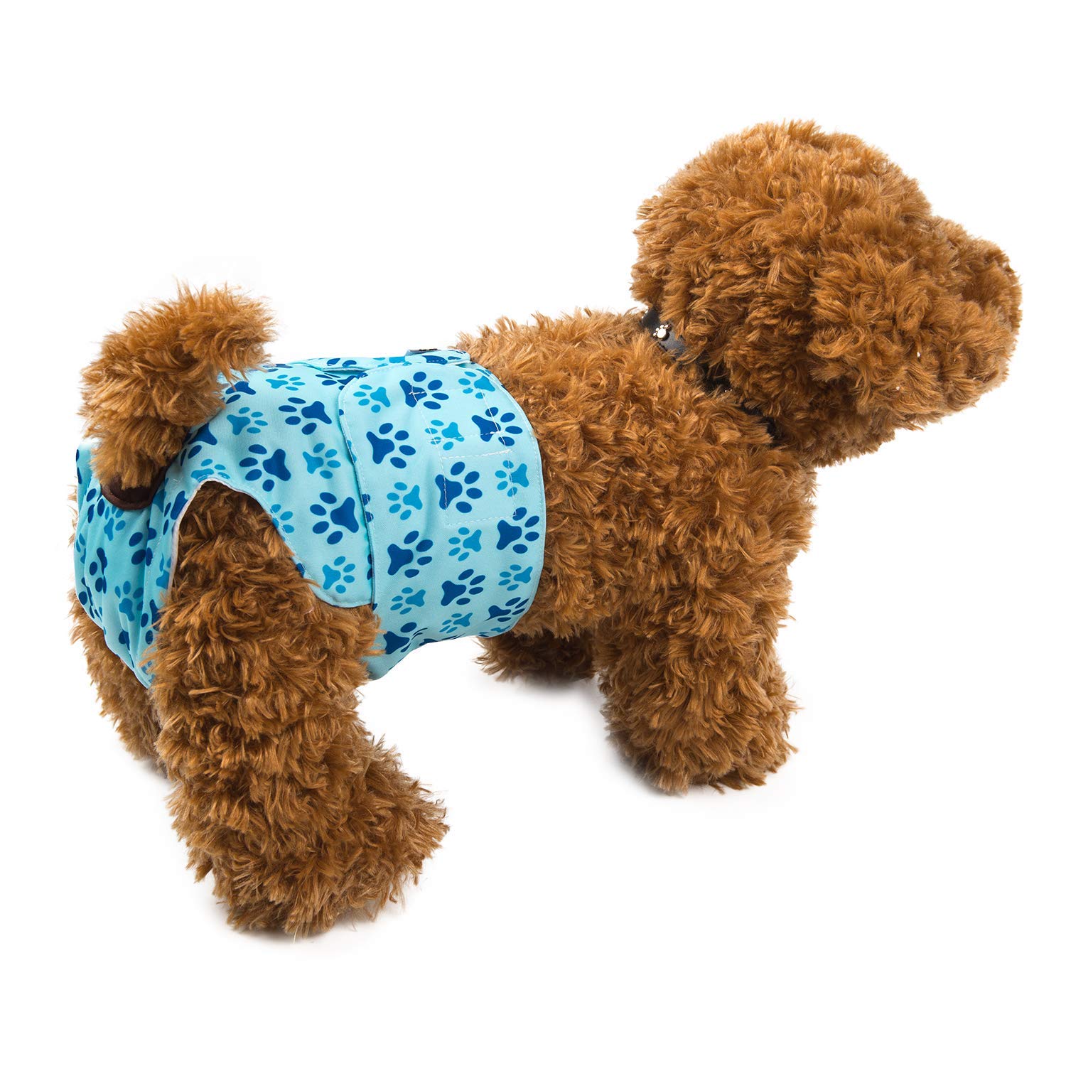 CuteBone Waschbare Hundewindeln Für Hündinnen – 3er Set, Wasserdicht & Verstellbar