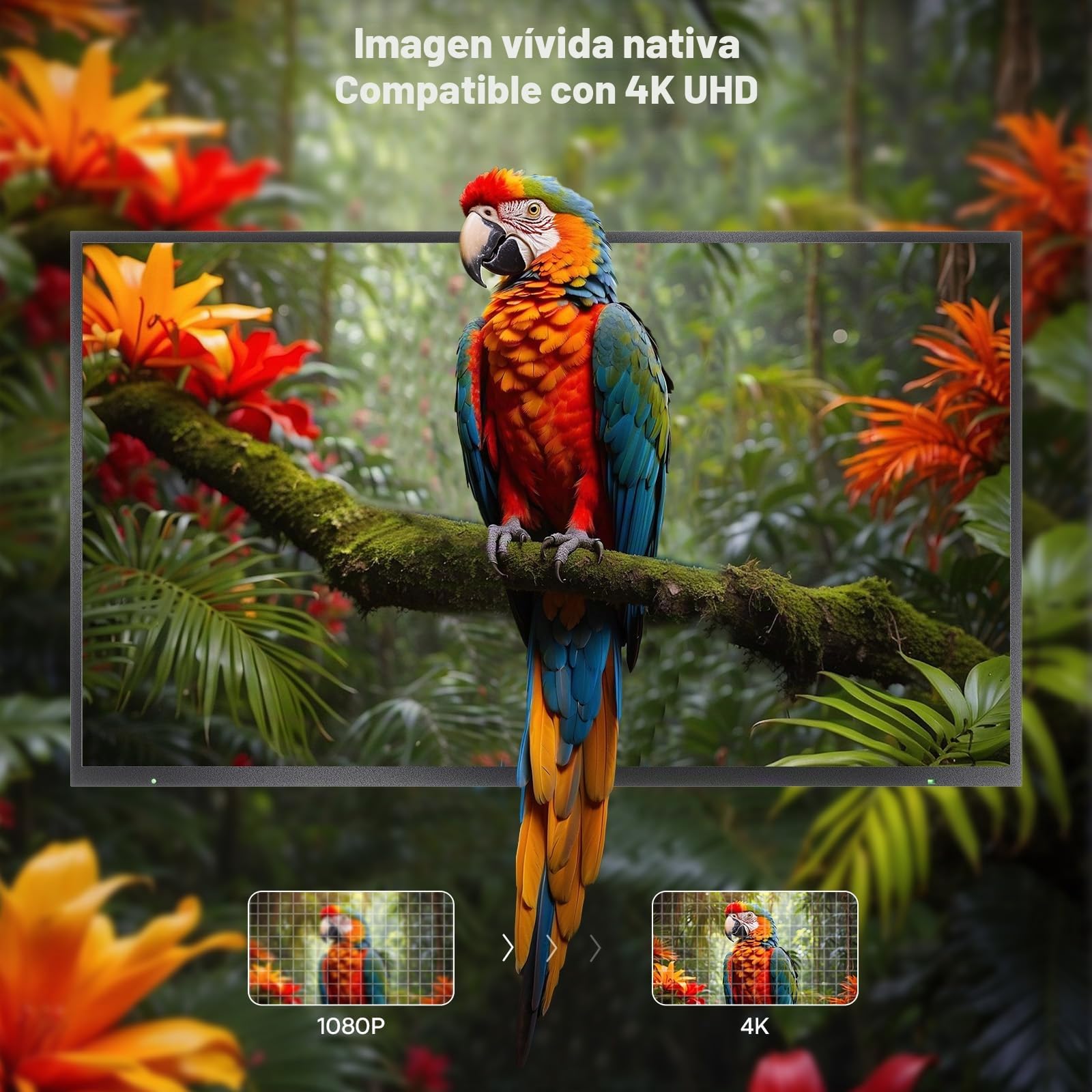 SYLVOX 65" Televisor de Exterior, 2000Nits Legible a la luz del Sol, 4K UHD Google TV, Dolby Atmos, DVB-T2/S2/C HEVC, IP55 Resistente Outdoor TV al Agua para Jardín, Terraza & Piscina (Pool Pro 2.0)