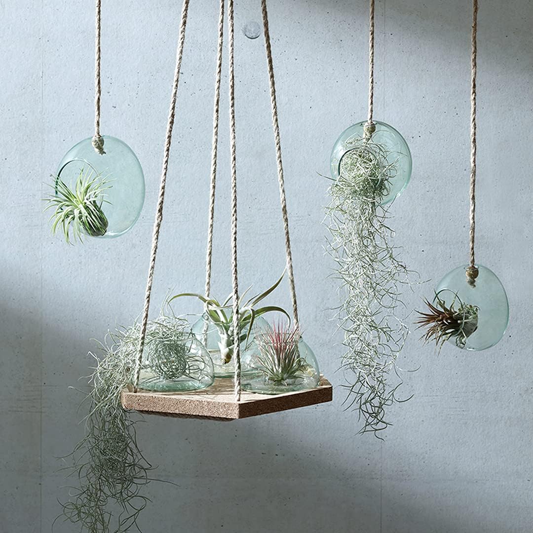 LSA Canopy Hanging Planter Set with Domed Shape Cork Base - Durable Recycled Glass Flower Pot - L11.25”