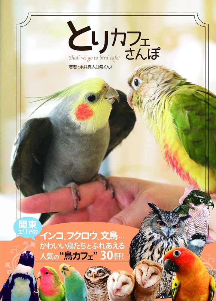 とりカフェ散歩 (インコ、フクロウ、文鳥……かわいい鳥たちと