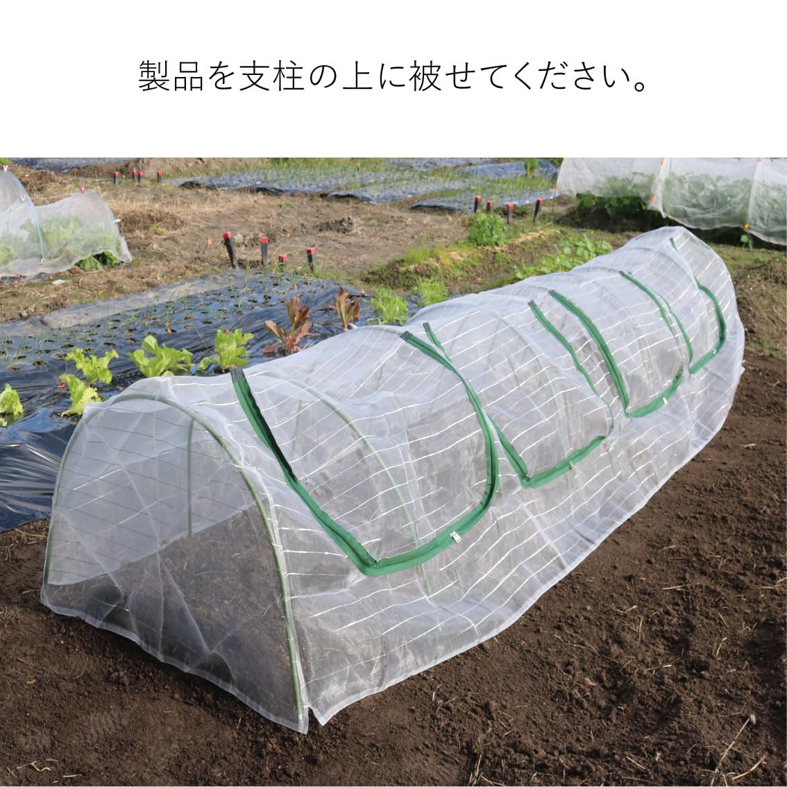 Amazon.co.jp: ファスナー付き 菜園用らくらく防虫ネット・家庭