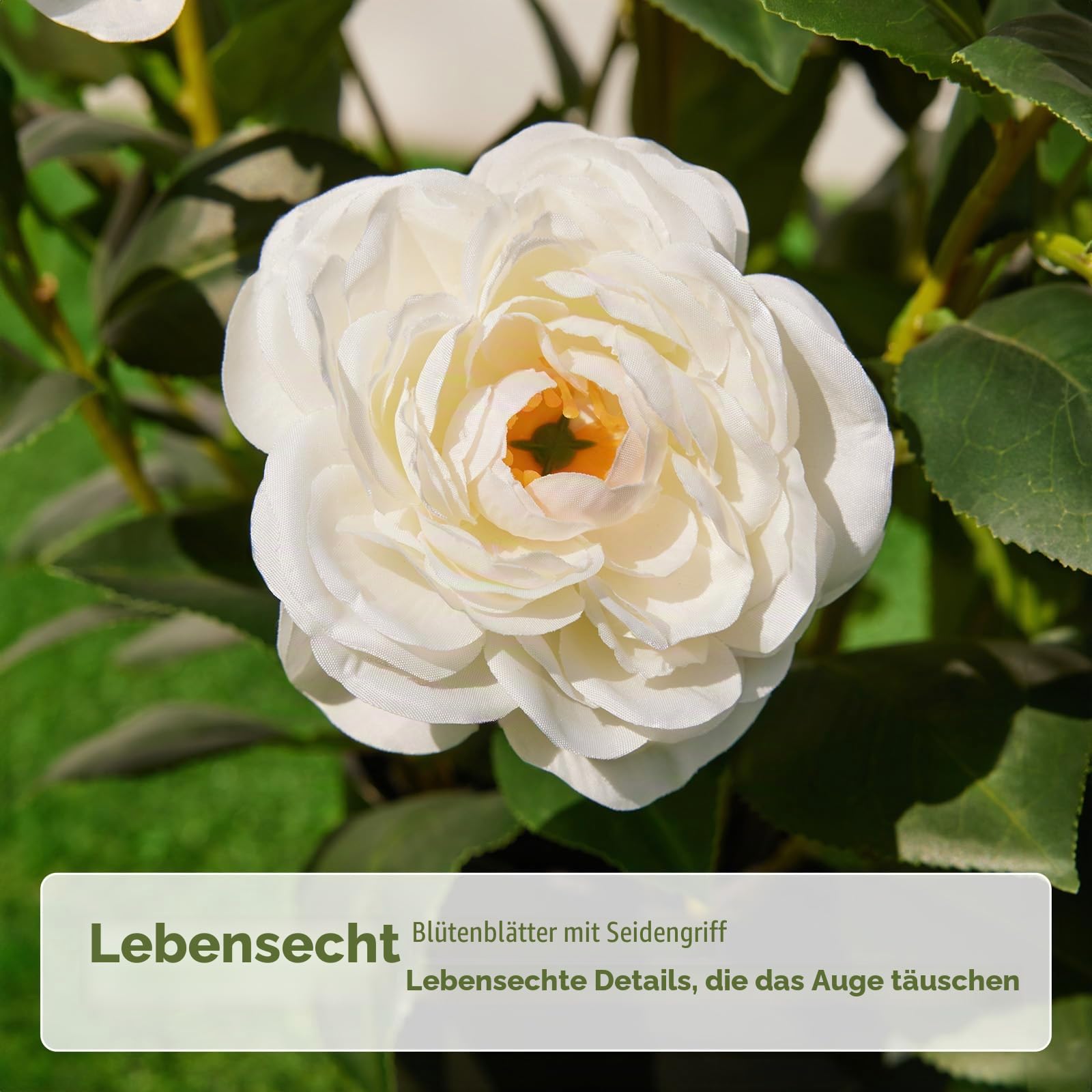 VeriNatural Künstlicher Kamelienbaum Weiß 60cm Kunstpflanze im Topf 2 Stück
