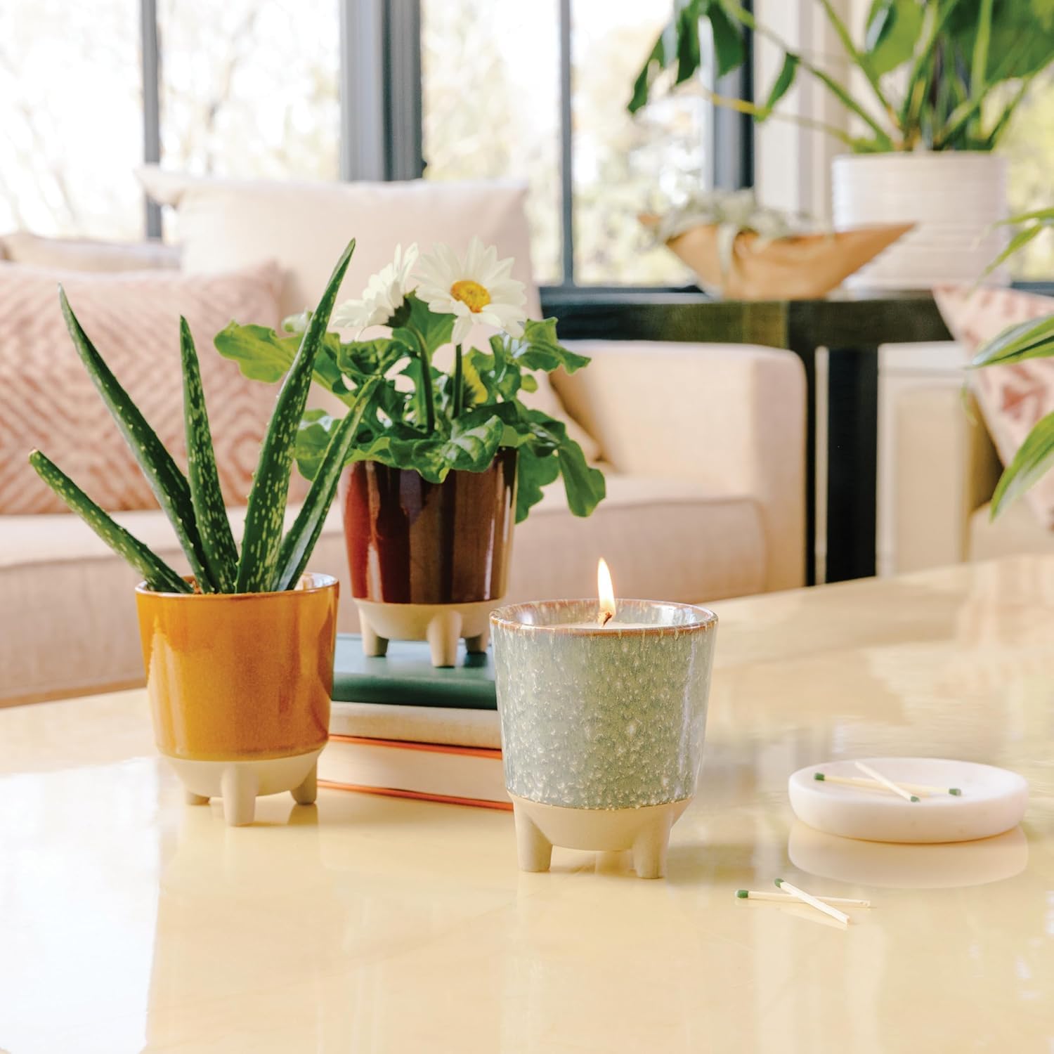 Modern Sprout Glow and Grow Kit – 2-in-1 Duftkerze, die zu einer Basilikumpflanze wächst, 340 ml Soja-Kerze mit 78 Stunden Brenndauer im Glasur-Keramikgefäß – Kerzen-Pflanzgefäß, ideal für