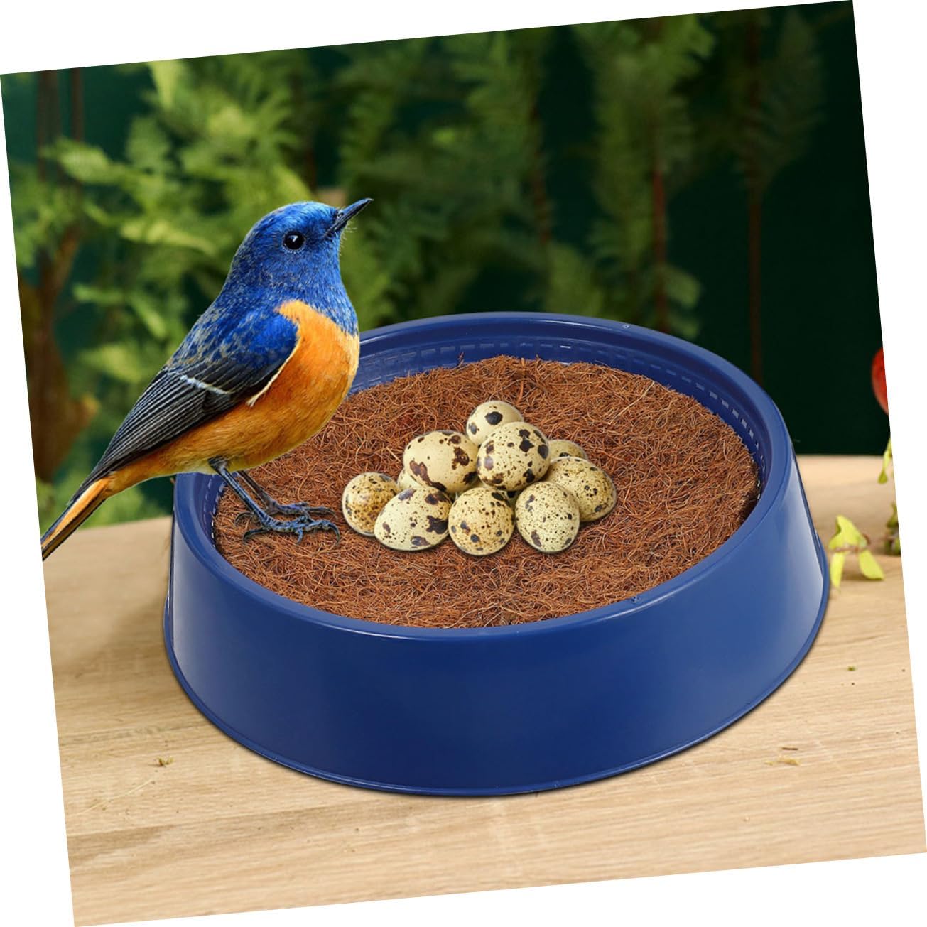 1set Wear-Resistant Pigeon Nests Convenient Nesting Pads for Outdoor Breeding and Household Use Includes Mesh Nests and Replaceable Pads