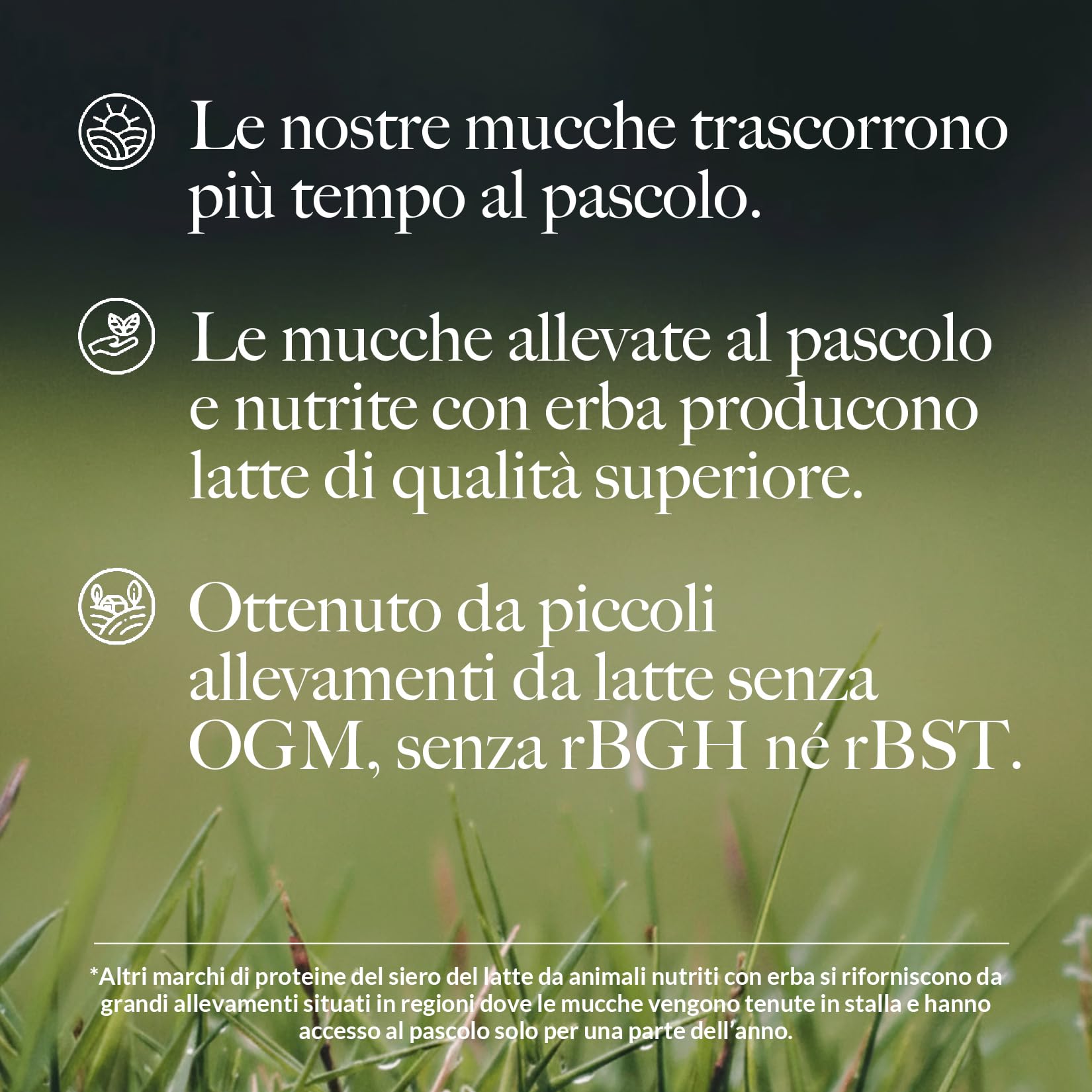 NAKED Mass - Gainer Naturale in Polvere Senza Aroma per Aumento di Massa e Peso - 3531 g - Senza OGM, Glutine e Soia. Nessun Ingrediente Artificiale - 1.216 Calorie per Porzione