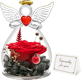 Miofula Preserved Real Rose Gifts for Women,Forever Rose in Glass Birthday Gifts for Women,Eternal Rose Flowers Guardian Angel Gifts for Mum Her Girlfriend Wife Anniversary Mothers Day Mum Couple Gift