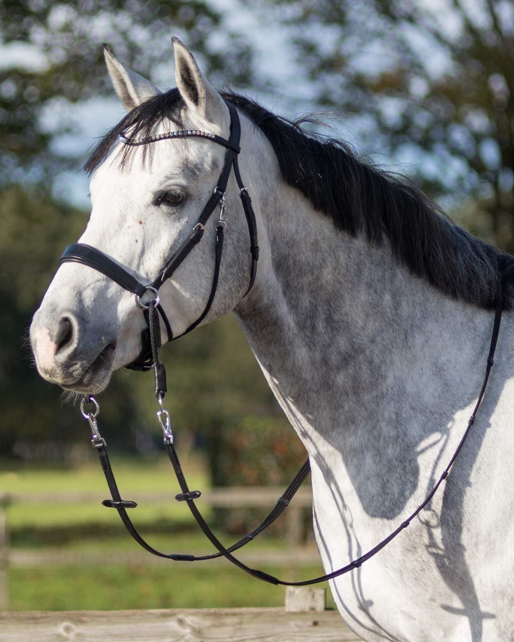 QHP Bridon équitation sans Mors Sunna - Noir - Cuir - Taille Demi-sang - Ludique - Équestrian - Doublement Réglable - Morsless Bridle - Bride