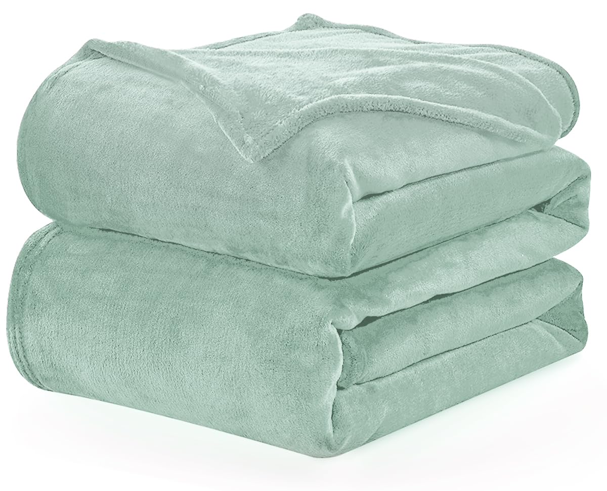 WAVVE Plaid Coperta Pile di Flanella 260gsm - 220x240 cm, Verde Chiaro - Pled Divano Pelosa Letto Matrimoniale King 240x220 - Copridivano di Microfibra Calda e Morbida