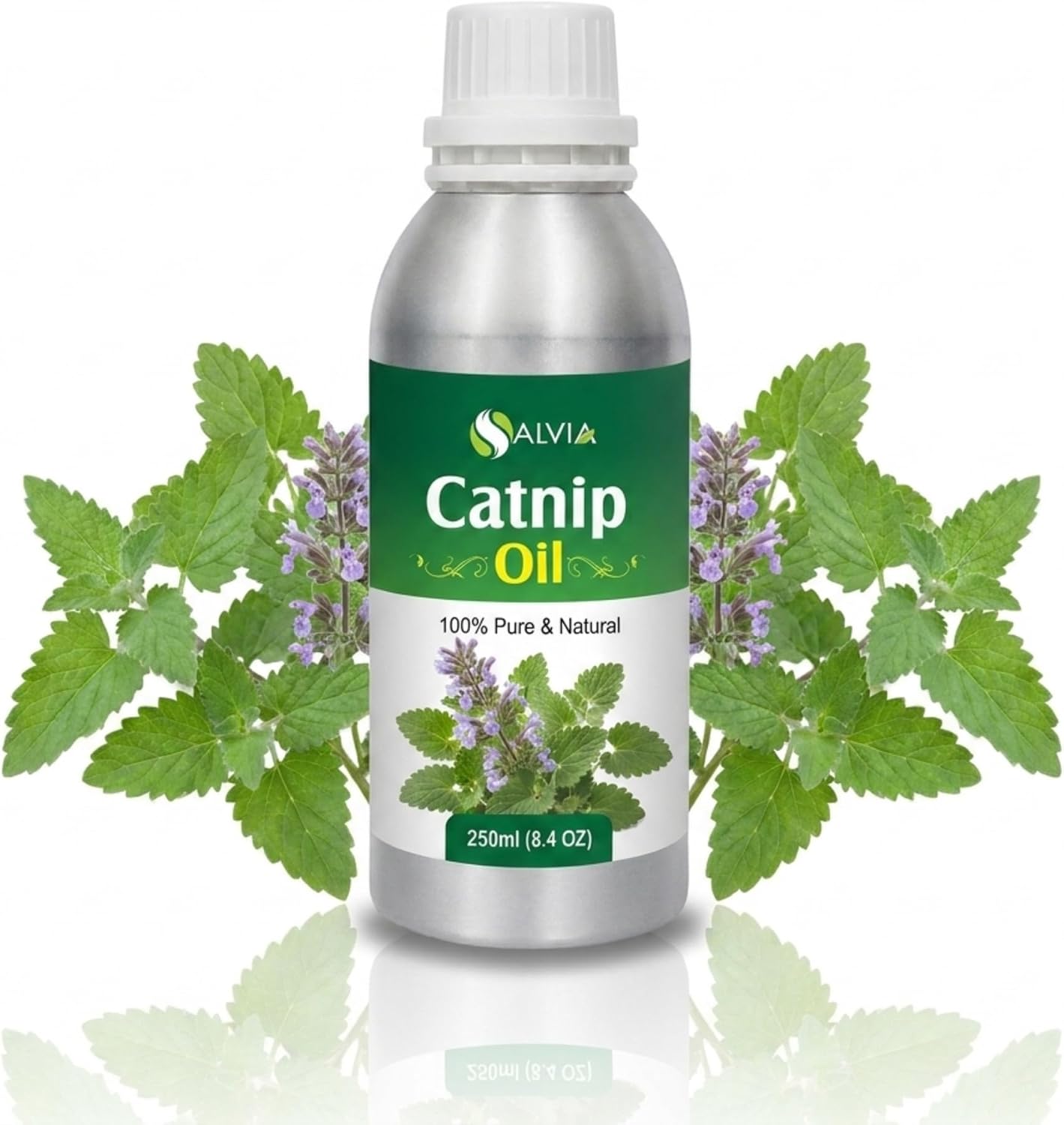 Salvia Pure Horse Chestnut Oil - Firms, Hydrates, and Tones Skin | Cosmetic Grade for Skincare, Hair Care, and DIY | 100 ML