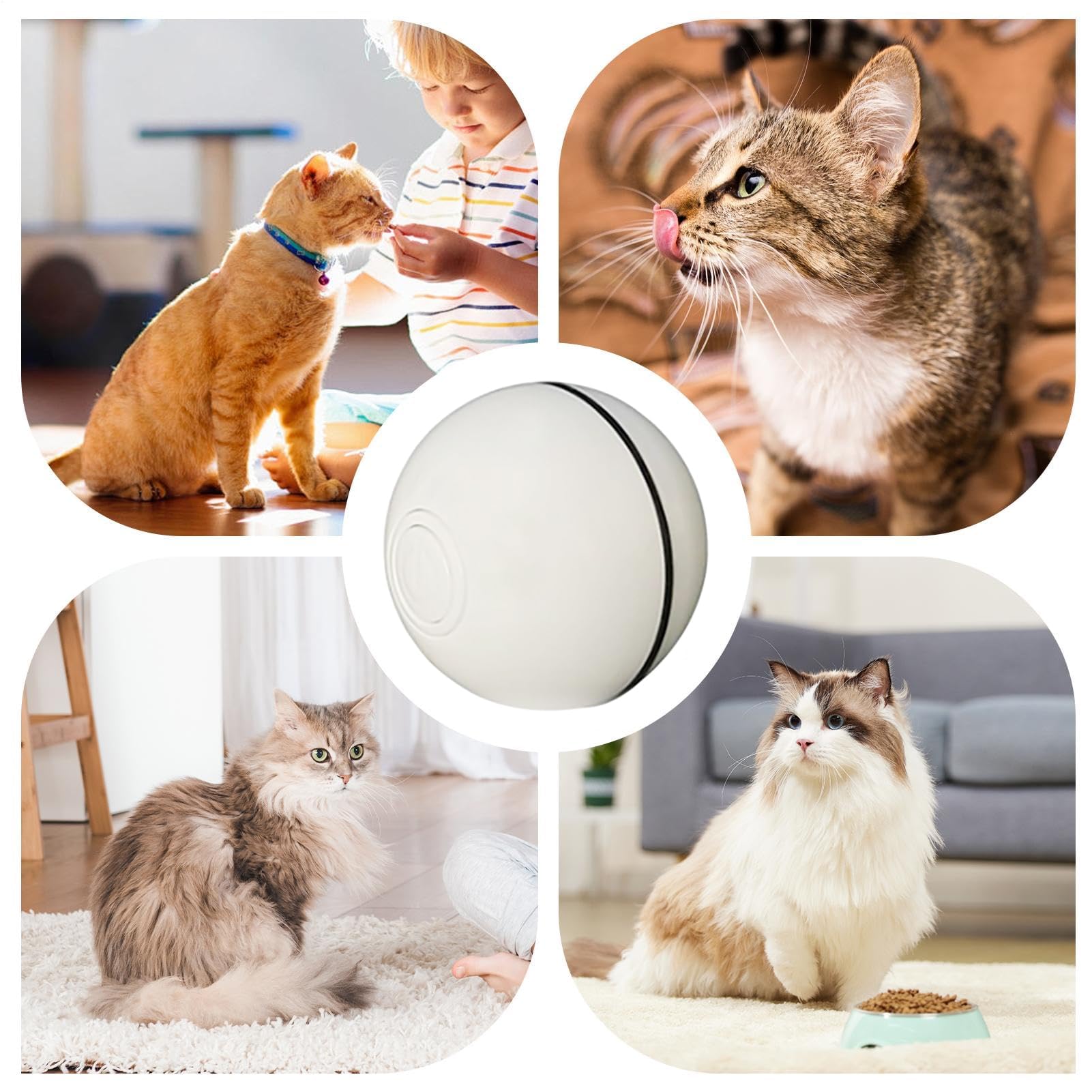 Juguetes para Gatos， Juguete Estimulante Mental for Gatos, Gatitos de Interior, Perros, Ejercicio, Caza, persecución, Alivio del aburrimiento