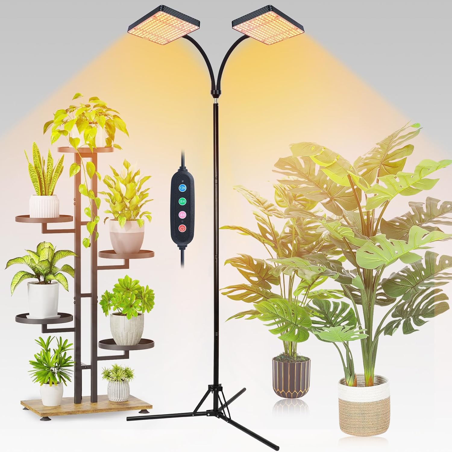 FECiDA 2026 2Head Grow Lights with Upgraded Stand, Big Coverage Grow Lights for Indoor Large Plants, Bonsai Tree, 4/8/12/16/20 Hr Timer, 50 Watt Power Draw, NO Need Adapter, 24"-76" Height Adjustable