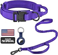 Vista 29 de DAGANXI - Collar táctico para perro, collar ajustable de nailon para adiestramiento con asa de control y hebilla, para perros medianos y grandes