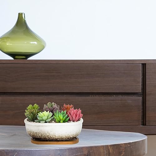 Miniatura 6 de Macetas para suculentas, macetas rectangulares de 7.9 pulgadas de largo con bandeja de drenaje, macetas poco profundas para plantas de interior,