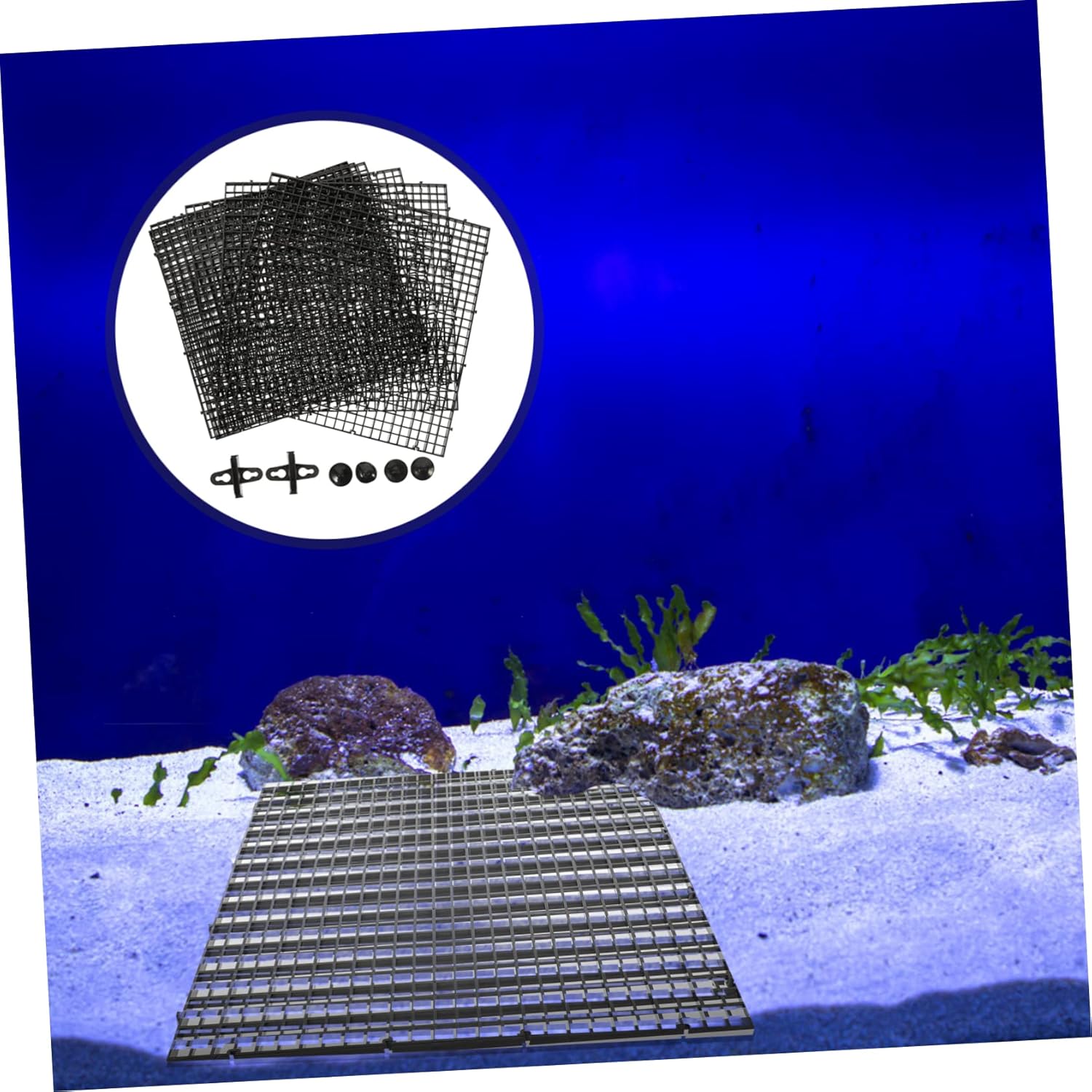 POPETPOP 1 Set Aquarium Bottom Isolation Board Fish Tank Divider with Suction Cups and Versatile Fish Separator for Enhanced Survival Rates