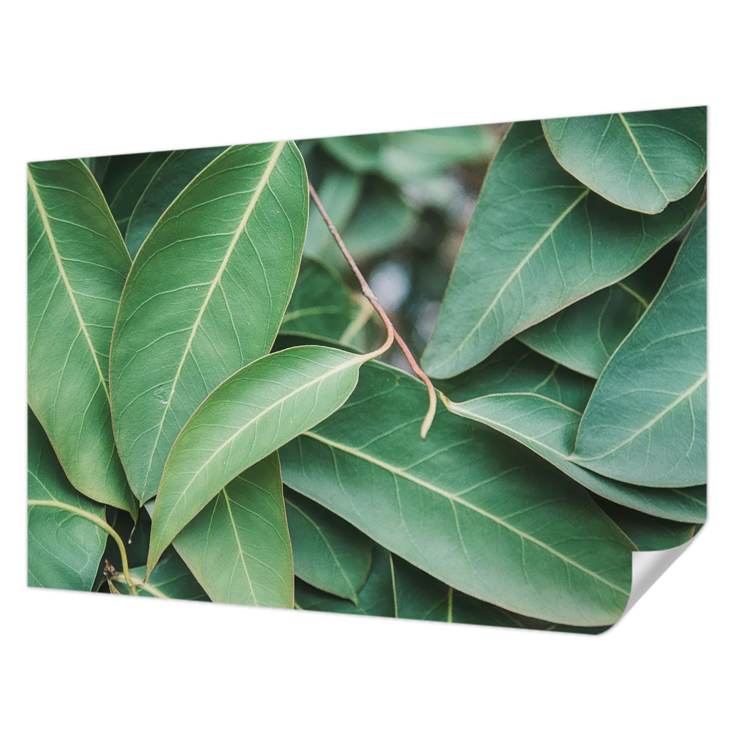 Papier peint autocollant anti-tache Tulup pour rénover facilement un mur sans colle