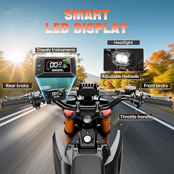 Electric Dirt Bike for Teens Adults Age 13+, 3500W Peak Ebike, 40 Mph Speed, Equipped with 48V 23.4AH Battery,14/12 Off-Road Tire E-Bike, Full Suspension, Dual Hydraulic Brakes (Flame color)