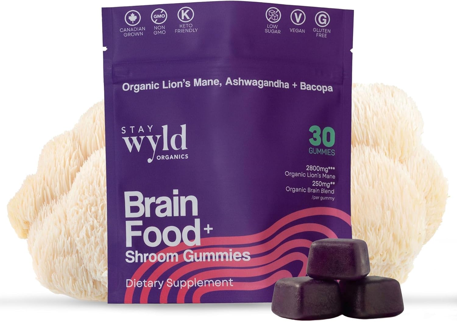 Stay Wyld Organics Brain Food+ Mushroom Gummies, 30 Servings, Organic Lion's Mane, Ashwagandha & Bacopa Gummies for Brain Health & Focus - Gluten-Free & Vegan Shroom, Lions Mane Mushroom Supplement