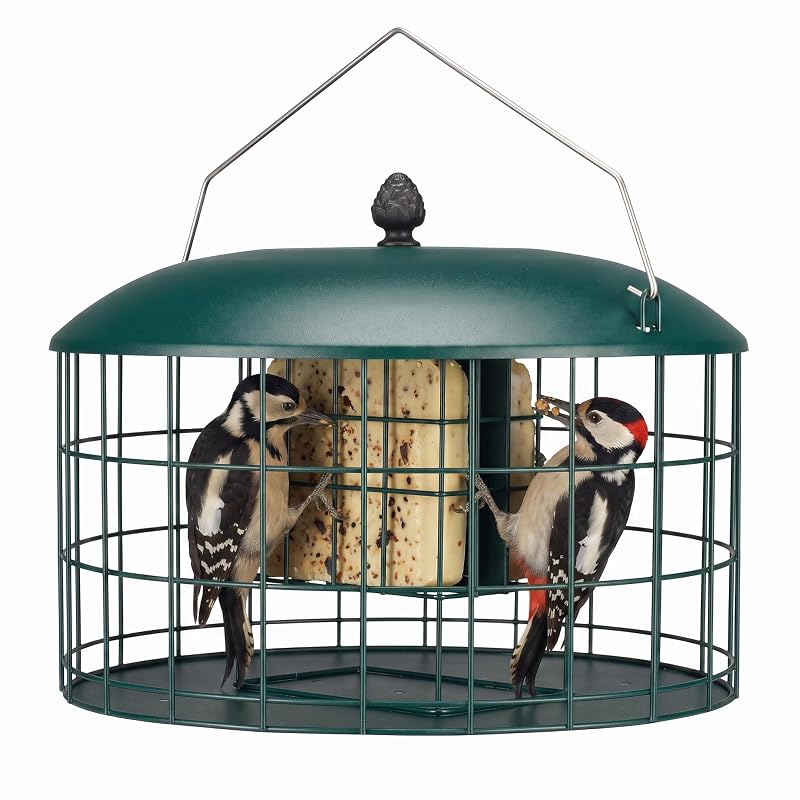 Comedouro para aves silvestres com suporte para 2 blocos de sebo Veehoo Green