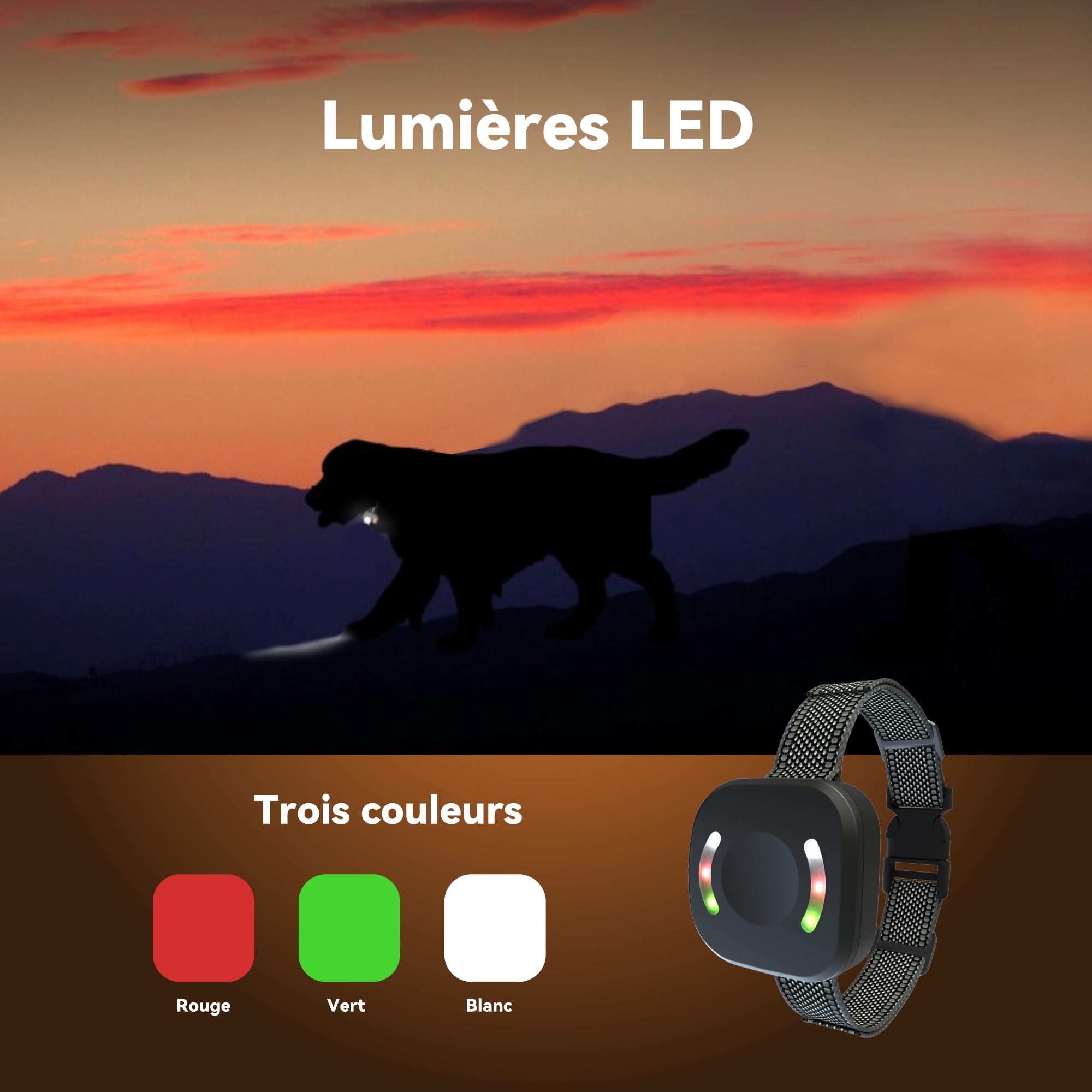 Collier de Dressage, Conformes à La Nouvelle Loi 2025 - Collier Vibrant - Portée de 2500 Mètres, Rechargeable avec 4 Modes Lumières LED/Son/Vibration/Forte Vibration, Résistant à l'eau IP67