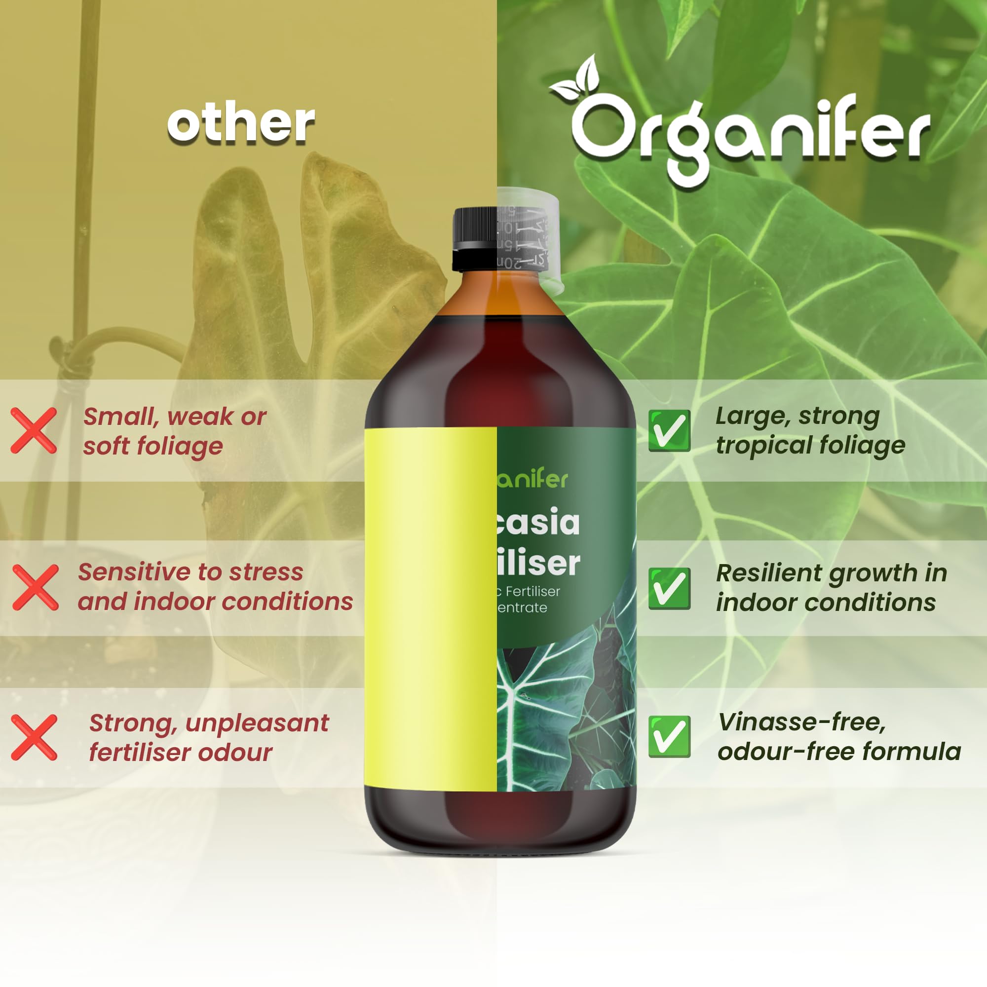 Fertilizante Líquido Para Alocasia - 4x1L - NPK 2-1-8 | Fertilizante Para Hojas Abundantes Y Tallos Fuertes - Favorece Raíces Y Vitalidad - Organifer