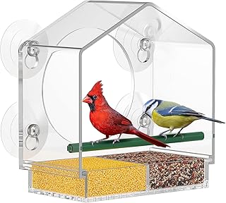 Arabest Acrylic Window Bird Feeder, with 4 Suction Cups for Outside, Clear Viewing, and Drainage Holes, Perfect Gardening Gift for Watching Wild Birds and Keeping Cats Busy