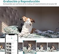 Vista 7 de Cámara para mascotas, cámara para perros HD 2K con aplicación para teléfono, cámara para cachorros con vista panorámica de 360°, llamada con un clic