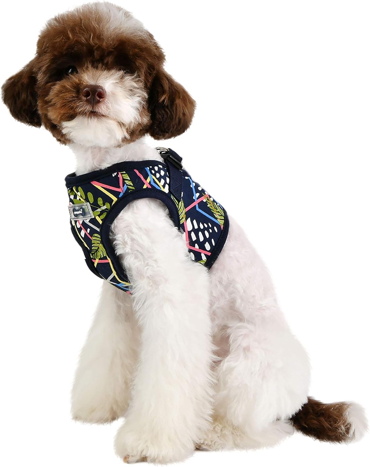 Botanical Harness B - Navy - L