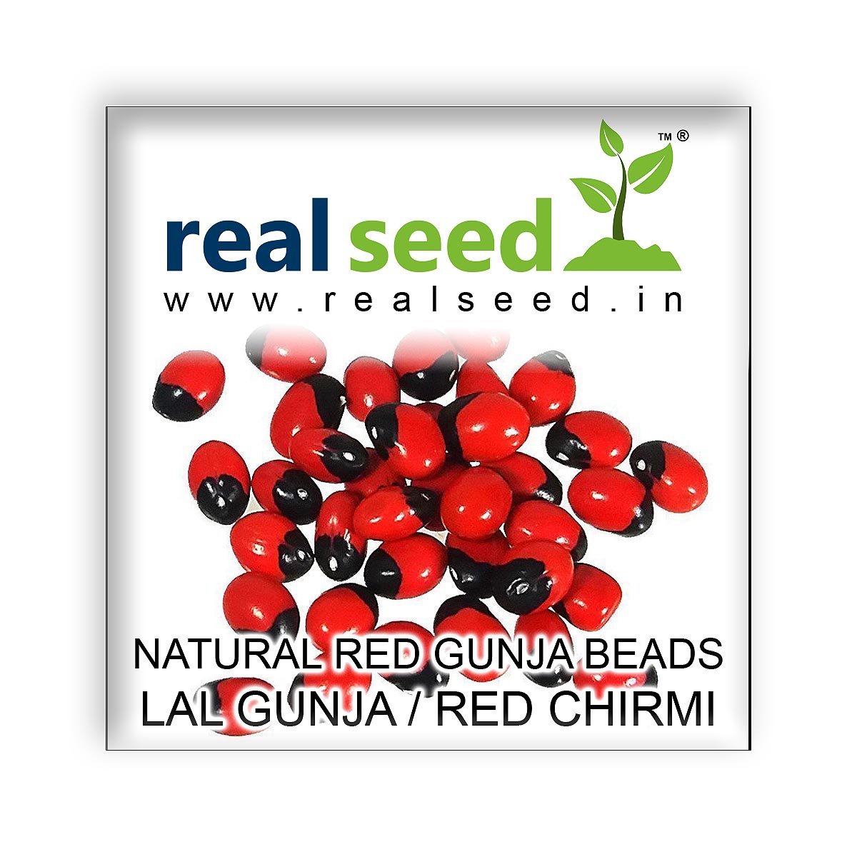 Lal Rakt Gunja | Red Rosary Pea | Godddess Lakshmi Chirmi Beads | Abrus Precatorius | Gumchi - Set 51 Beads