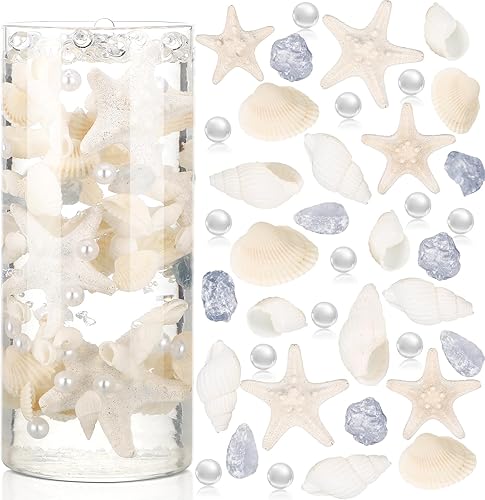 DoubleFill 2000 piezas de jarrón flotante de conchas marinas con conchas marinas blancas naturales flotantes, bloque de vidrio esmerilado, caracola,