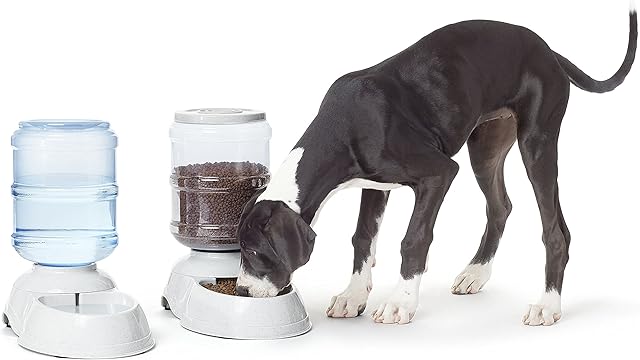 Amazon Basics Food & Water Feeder, Large