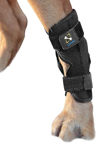 Miniatura 3 de Potente soporte para articulación de pata trasera canina de perro con tiras de resorte de metal, fortalece el soporte de compresión de la pierna