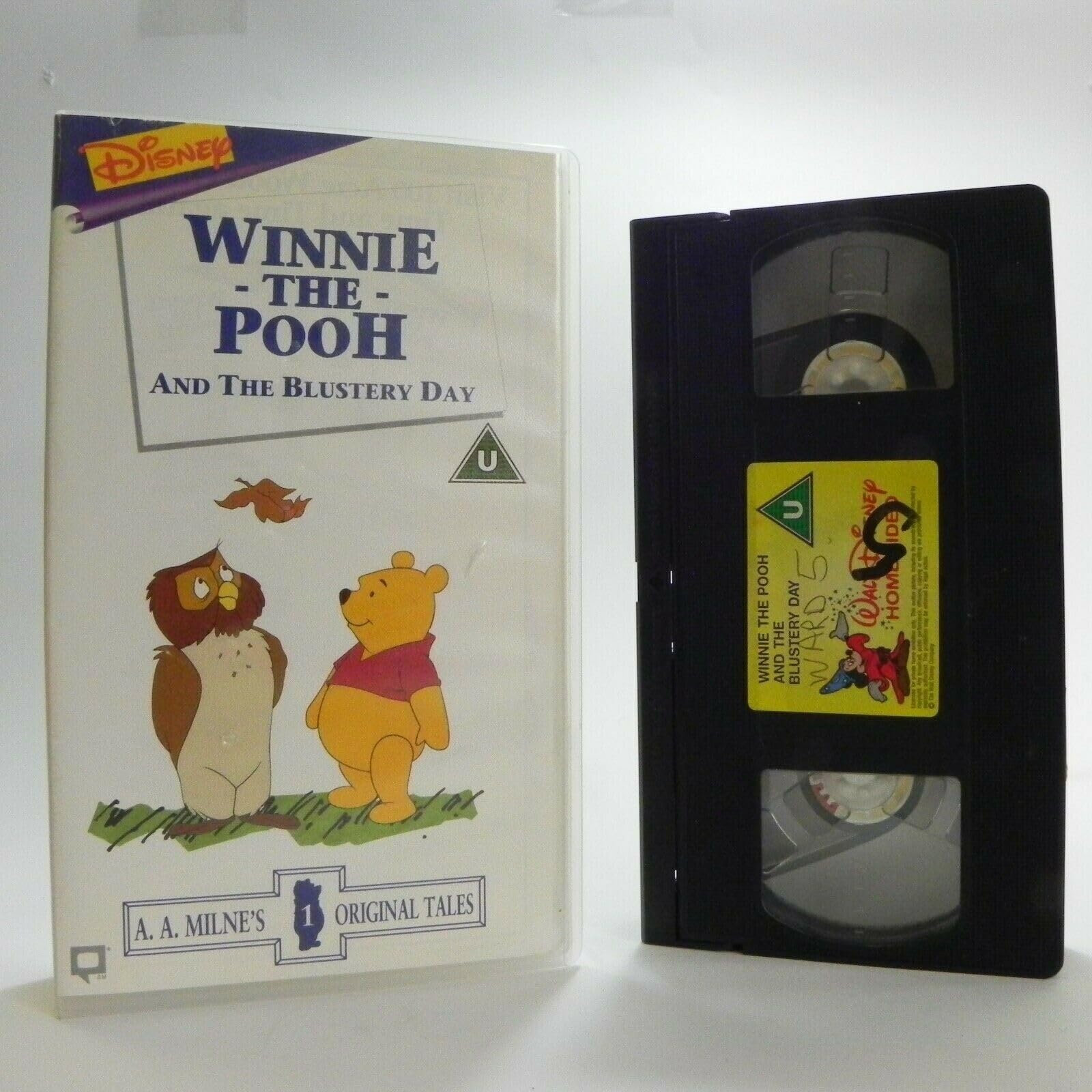 Winnie the Pooh and the Blustery Day