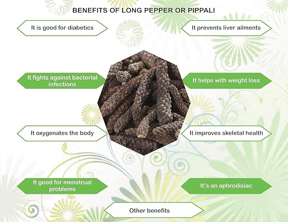 AYURVEDASHREE Premium Whole Indian Long Pepper (Pippali) 100g - Authentic Pipli, Thippili & Long Black Pepper Spice