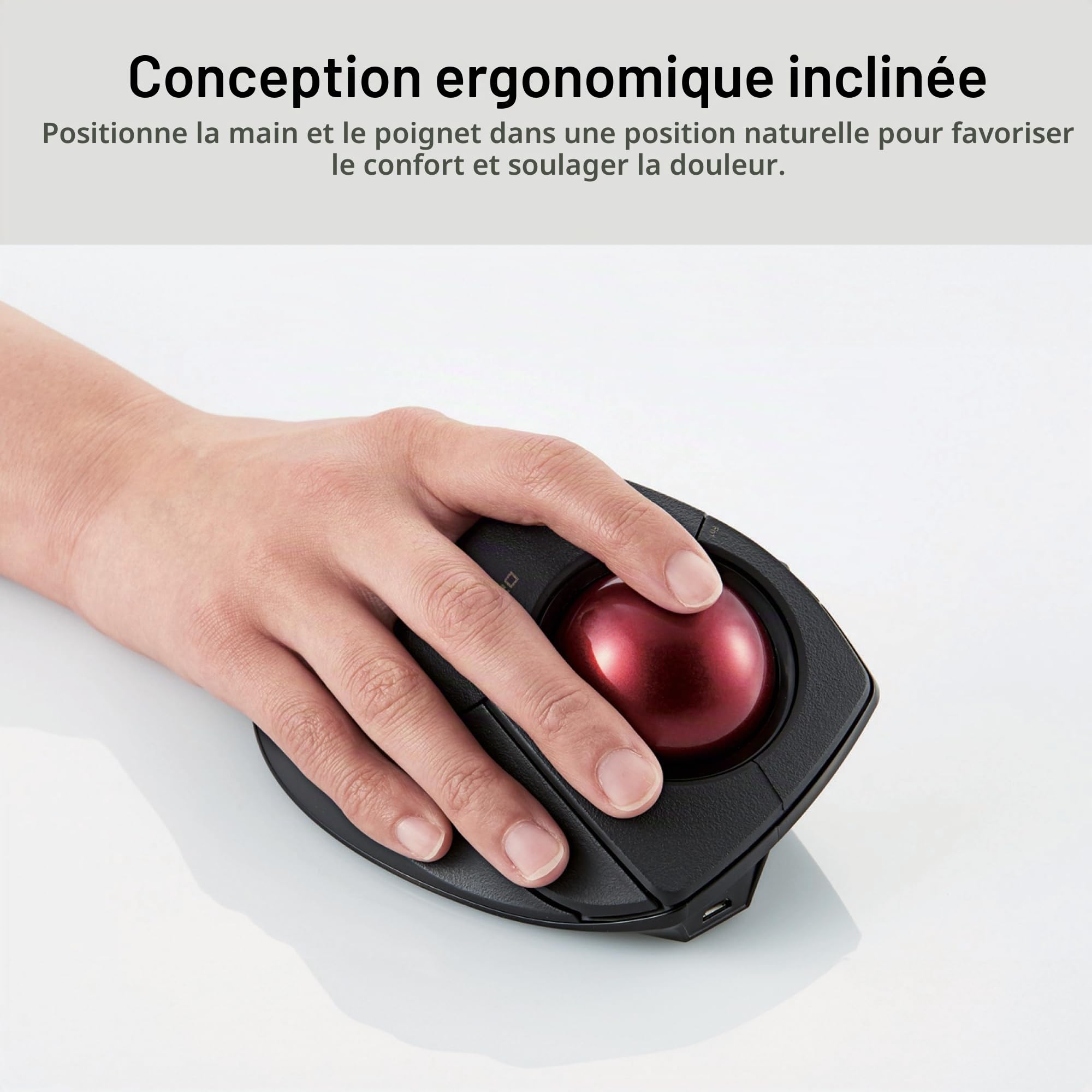 ELECOM DEFT Pro Souris trackball, Filaire, sans Fil, Connexion Bluetooth 3 Types, Design Ergonomique, Fonction 8 Boutons, Boule Rouge, Windows11, MacOS (M-DPT1MRXBK)