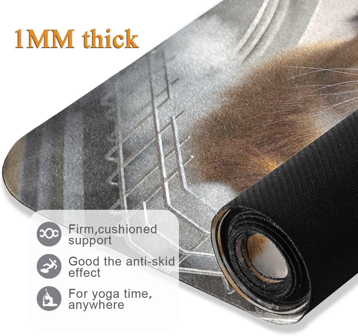 ALAZA Cat Foam Plate Yoga Mat Non Slip Fitness Exercise Mat, Workout Mat for Yoga, Pilates and Floor Exercises