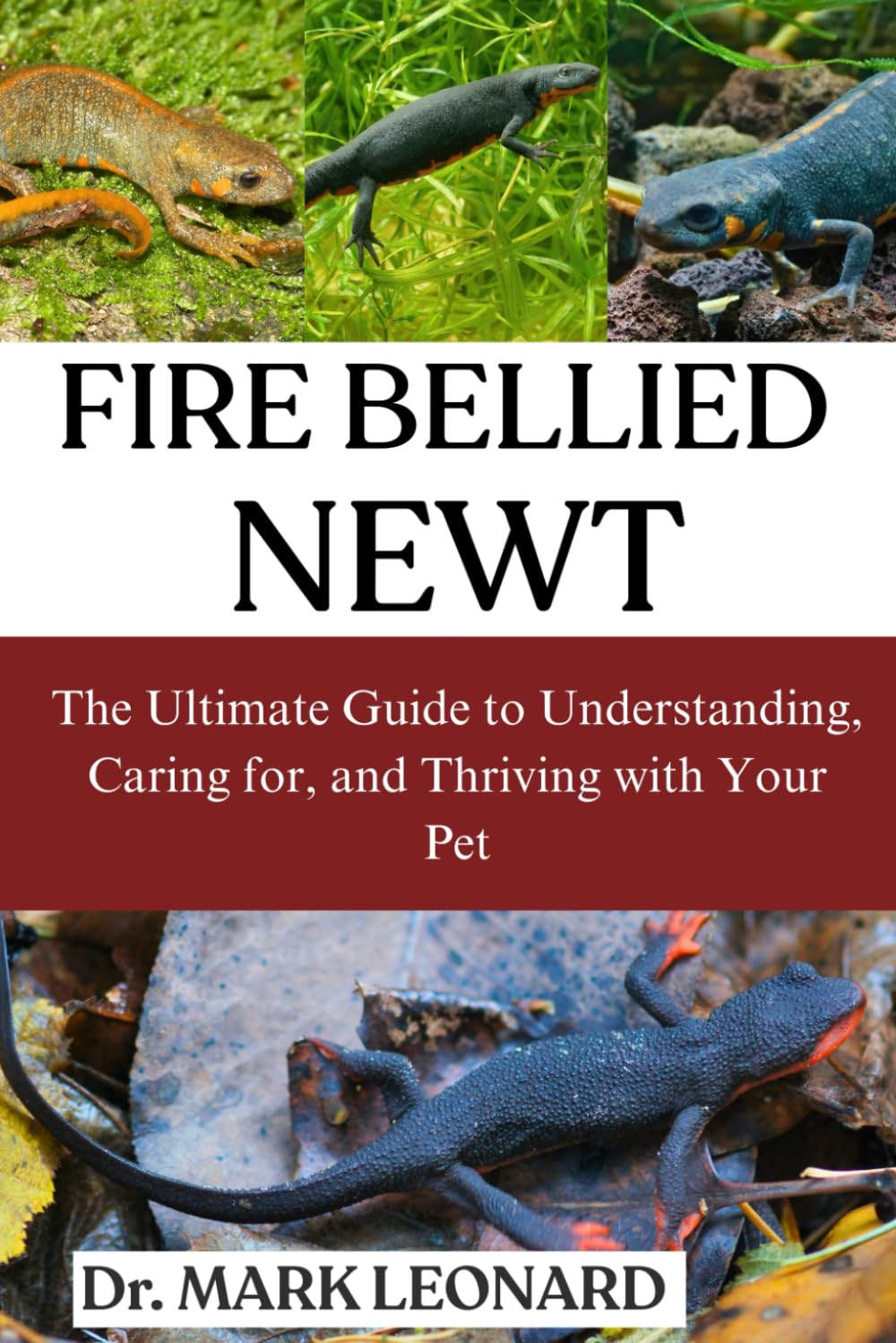 FIRE BELIED NEWT: The Ultimate Guide to Understanding, Caring for, and Thriving with Your Pet