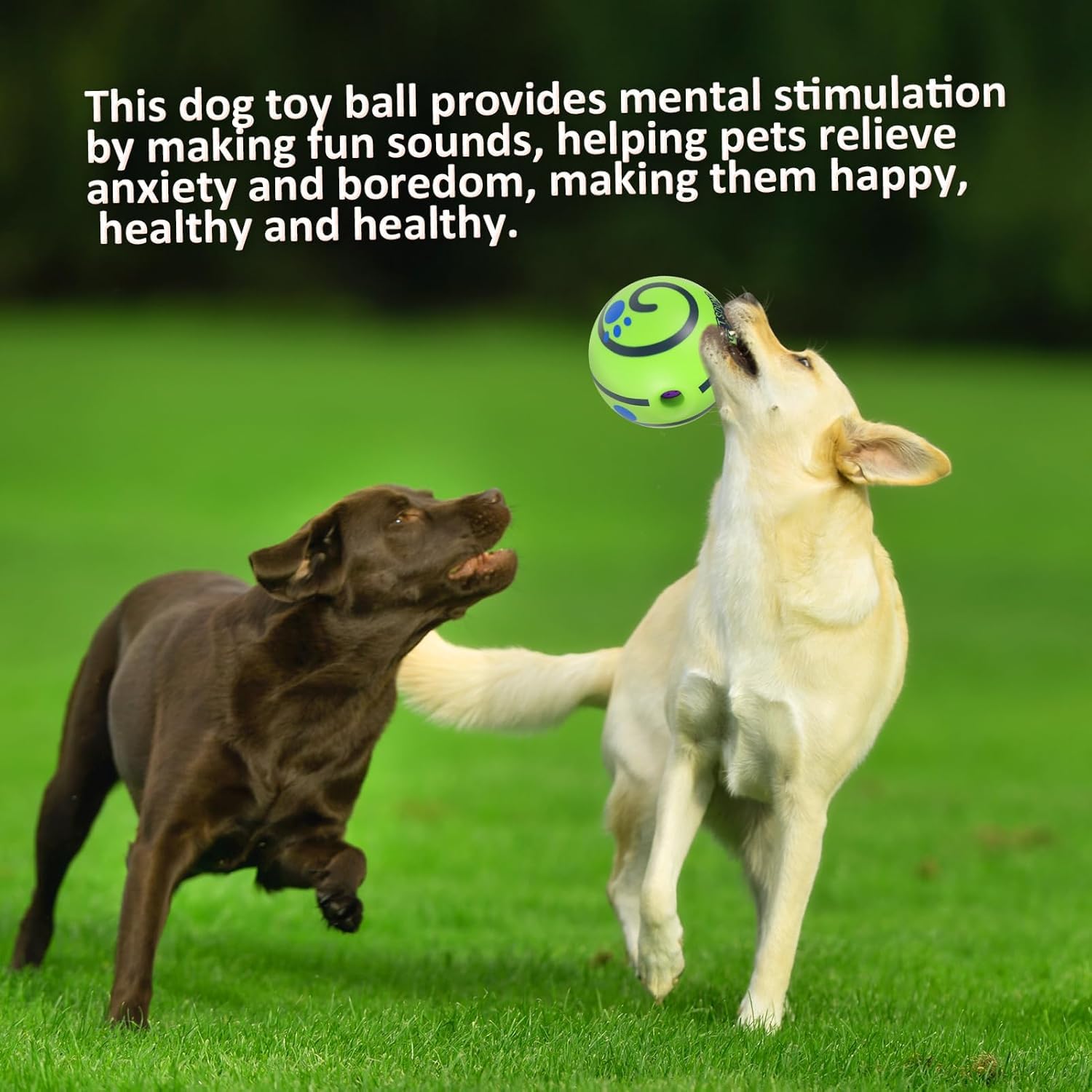 Tails Balle sonore interactive pour chiens et chiots | sons couineurs amusants | Matériaux sans danger pour les animaux de compagnie | Convient à toutes les races de chiens | Taille – Grands