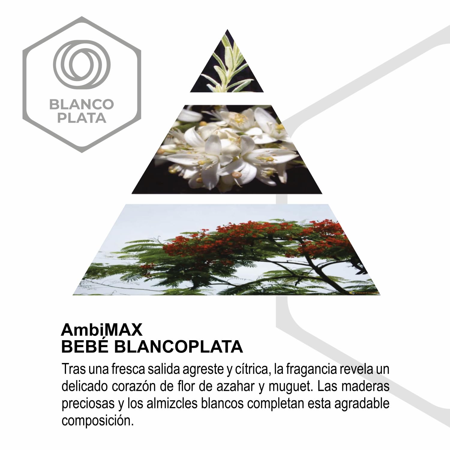 Recambio Ambimax Ambientador fragancia Bebe Plus 100ml 30 días de duración, 150m2 de cobertura, infantil y neutralizador de malos olores, para guarderías y parques infantiles (NO INCLUYE APARATO)