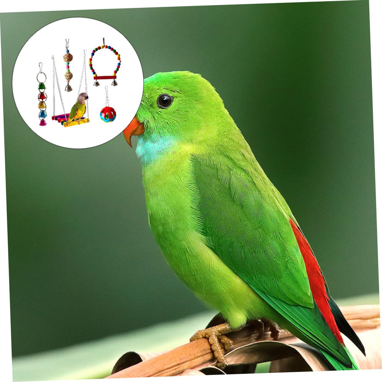 5 Piezas Juguetes para Pájaros Material Natural y Duradero Juego para Masticar y Desarrollar Inteligencia de Loros y Aves Pequeñas Ligero y Portátil