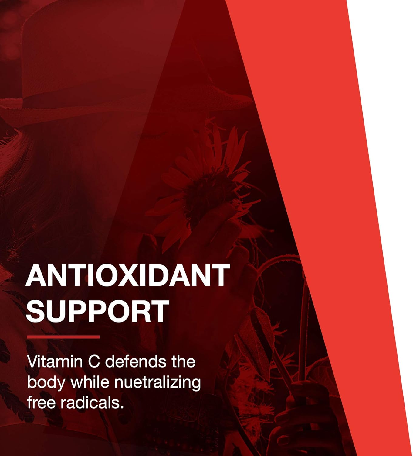 Protocol For Life Balance - C-1000 Caps with Bioflavonoids and Rutin - Antioxidant Power of Vitamin C, Supports Healthy Immune System Function, Provides Cellular Protection - 120 Veg Capsules